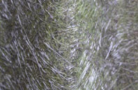 Kemincham fibreglass roof work